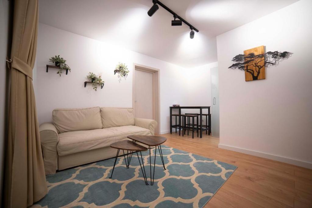 Coban Residence Apartments Брашов Экстерьер фото